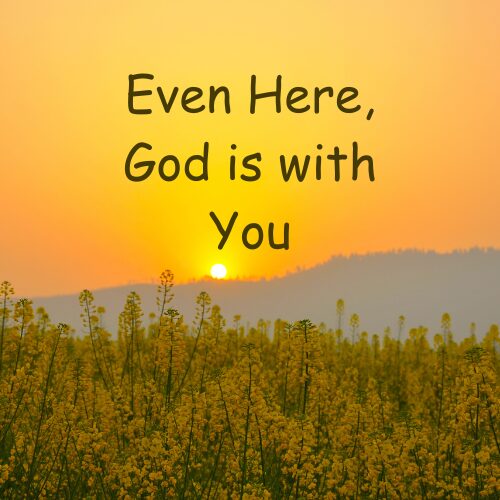 Read more about the article Even Here, God Is With You